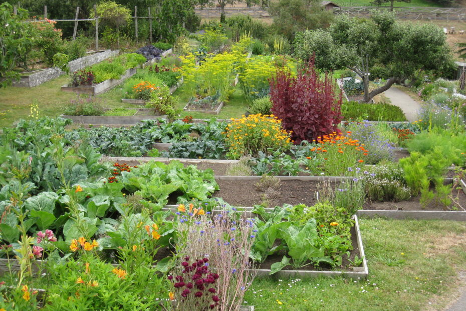 Natural Products for Organic Gardening