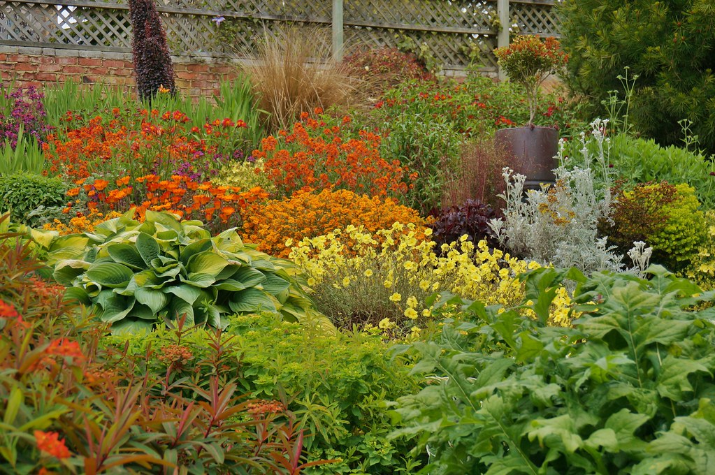 Tips for planting perennials